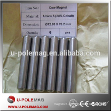 AlNiCo Kuhmagnet / Kuh-Magen-Magnet / dauerhafter Magnet für Verkauf